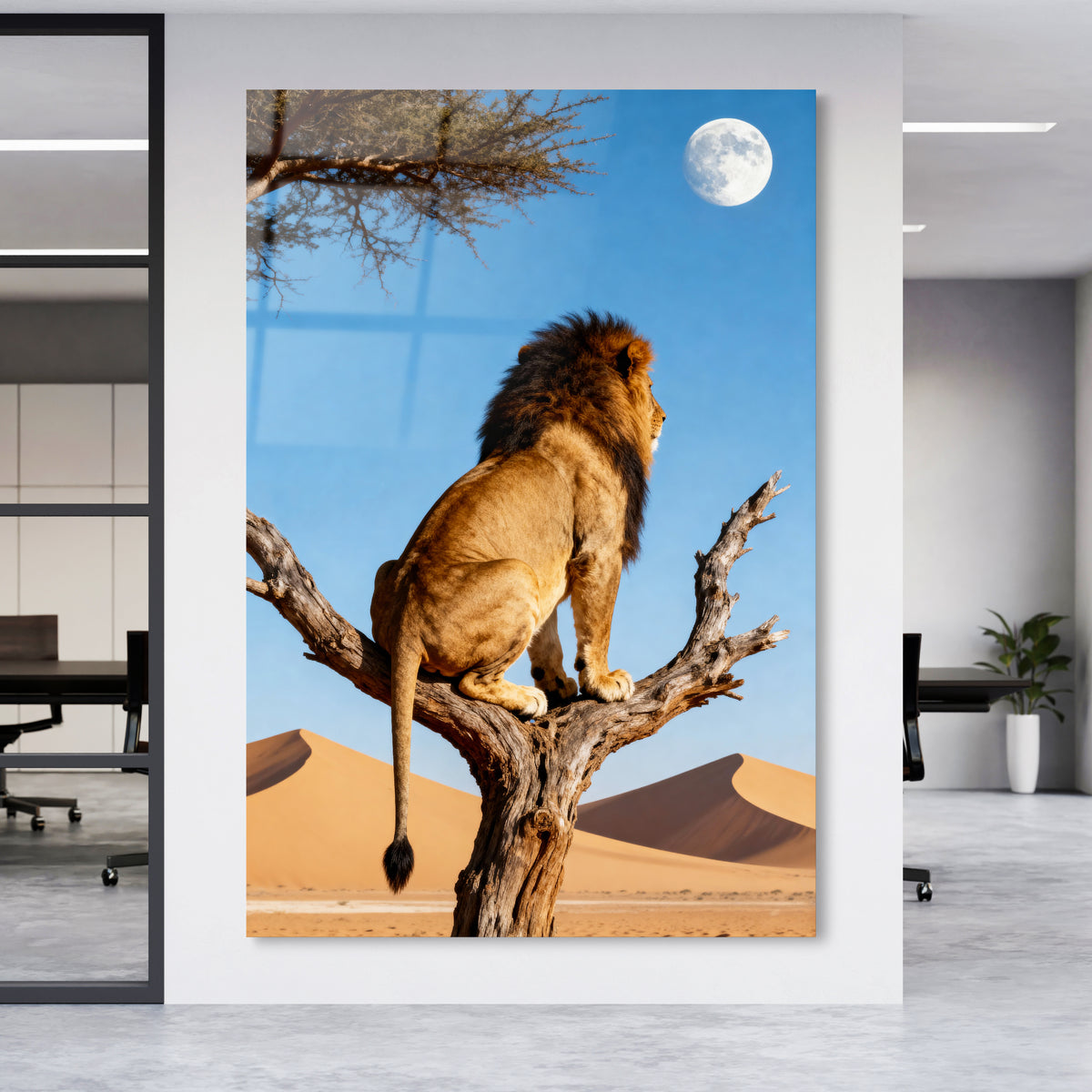Löwe unter dem Vollmond