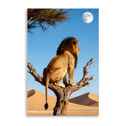 Löwe unter dem Vollmond