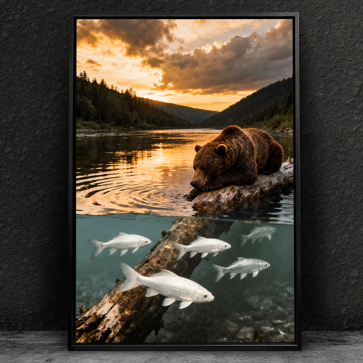Bär am Fluss im Abendlicht